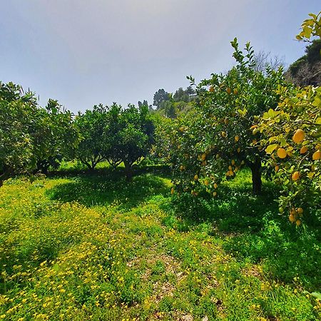 Villa Tommaso Maruggi Alcamo Esterno foto